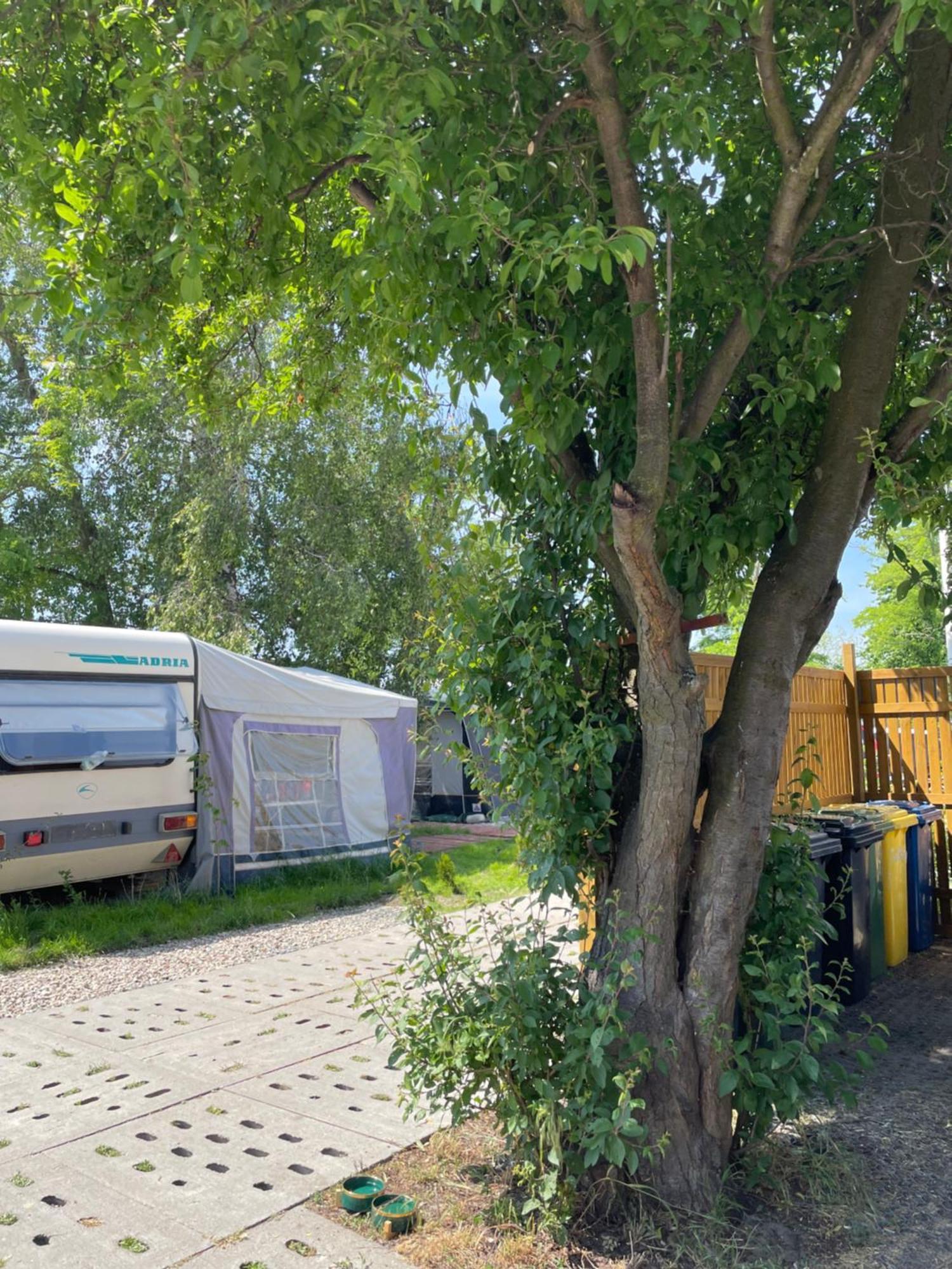 Sonata Camp Hotel Ястарня Екстериор снимка